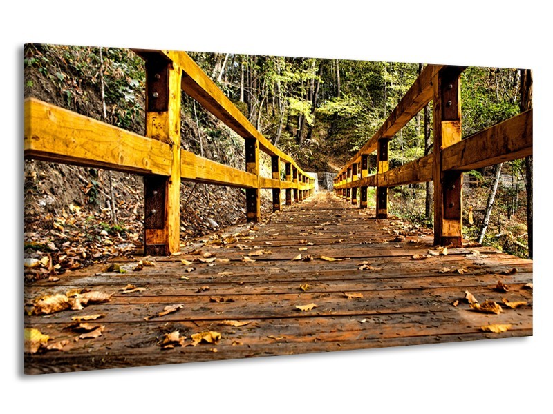 Canvas Schilderij Brug, Natuur | Bruin, Geel, Groen | 190x100cm 1Luik