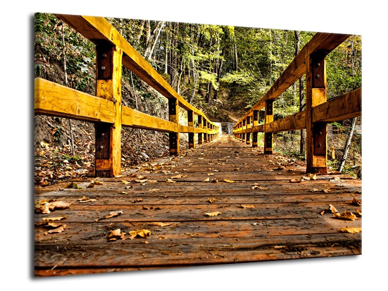 Glasschilderij Brug, Natuur | Bruin, Geel, Groen | 70x50cm 1Luik