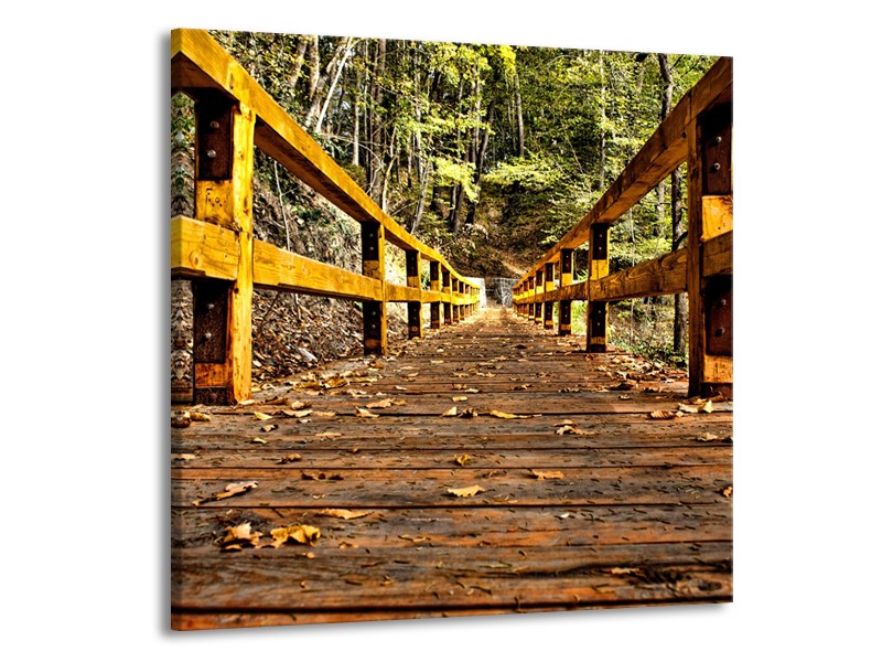 Canvas Schilderij Brug, Natuur | Bruin, Geel, Groen | 70x70cm 1Luik