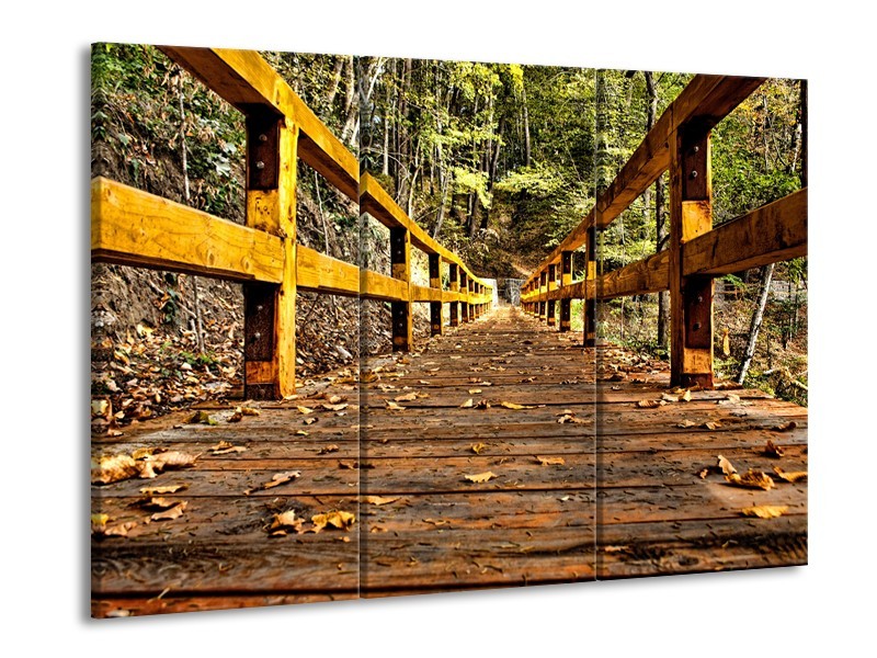 Canvas Schilderij Brug, Natuur | Bruin, Geel, Groen | 60x90cm 3Luik