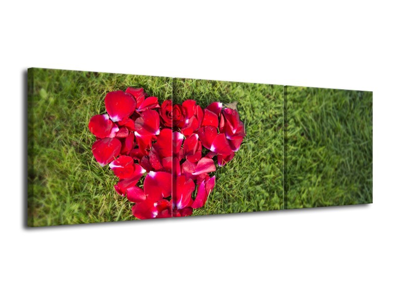 Canvas Schilderij Bloem, Gras | Rood, Groen, Roze | 120x40cm 3Luik