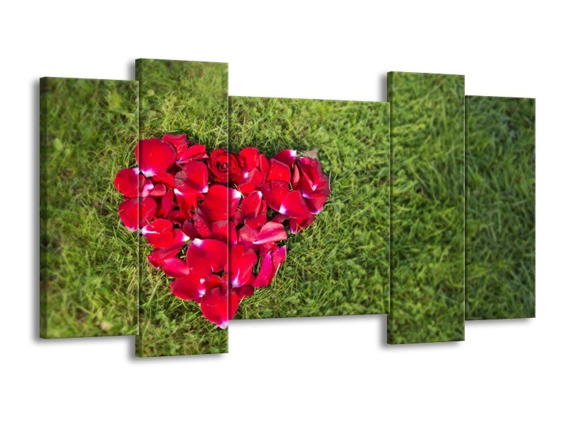 Glasschilderij Bloem, Gras | Rood, Groen, Roze | 120x65cm 5Luik