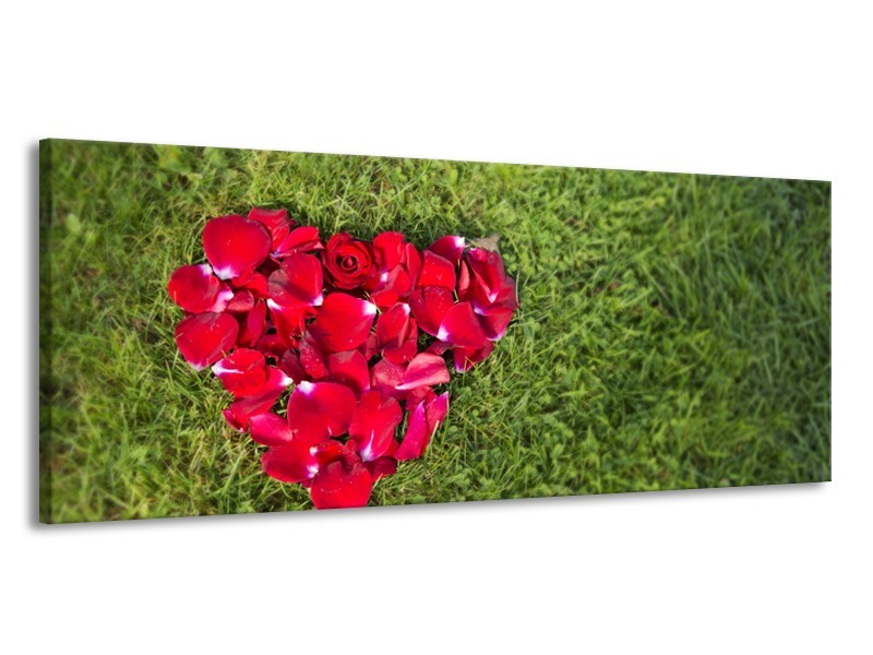 Glasschilderij Bloem, Gras | Rood, Groen, Roze | 145x58cm 1Luik