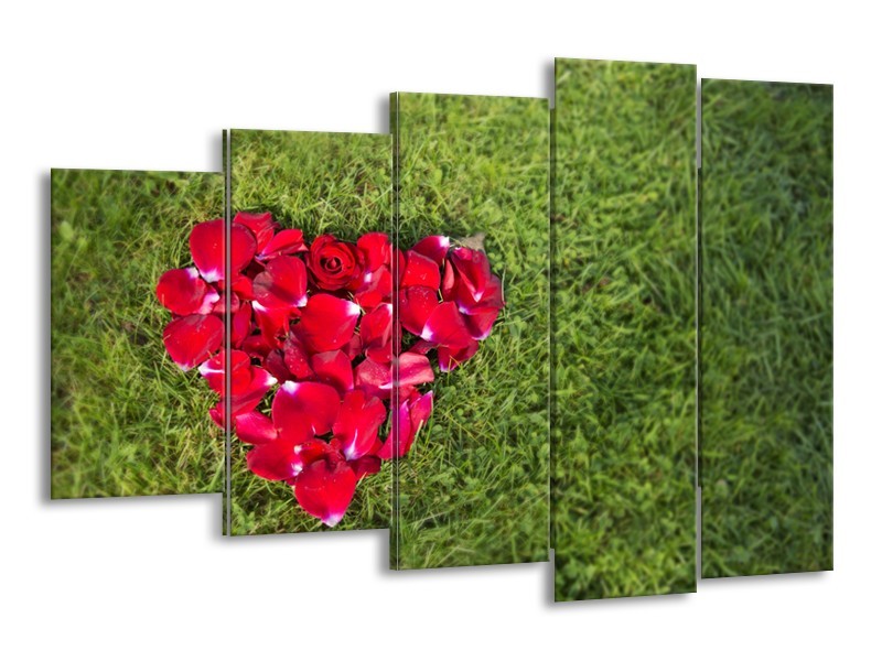 Canvas Schilderij Bloem, Gras | Rood, Groen, Roze | 150x100cm 5Luik