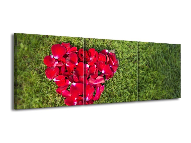 Glasschilderij Bloem, Gras | Rood, Groen, Roze | 150x50cm 3Luik