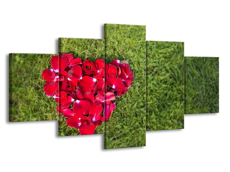 Canvas Schilderij Bloem, Gras | Rood, Groen, Roze | 150x80cm 5Luik