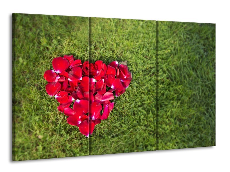 Glasschilderij Bloem, Gras | Rood, Groen, Roze | 165x100cm 3Luik