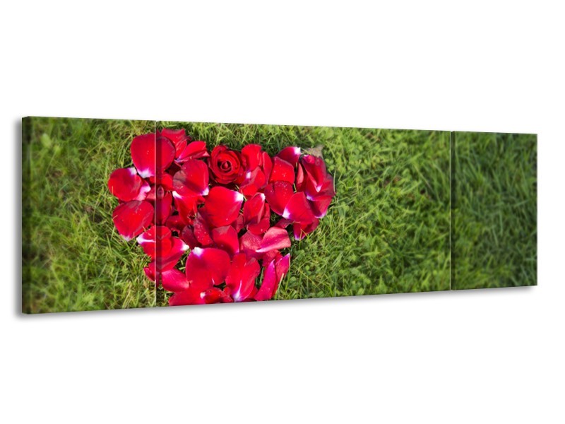 Canvas Schilderij Bloem, Gras | Rood, Groen, Roze | 170x50cm 3Luik