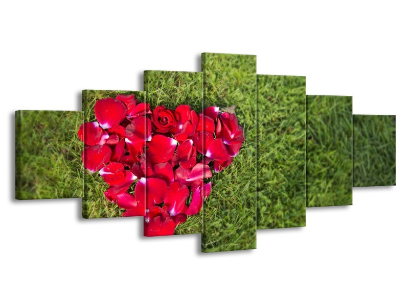 Canvas Schilderij Bloem, Gras | Rood, Groen, Roze | 210x100cm 7Luik
