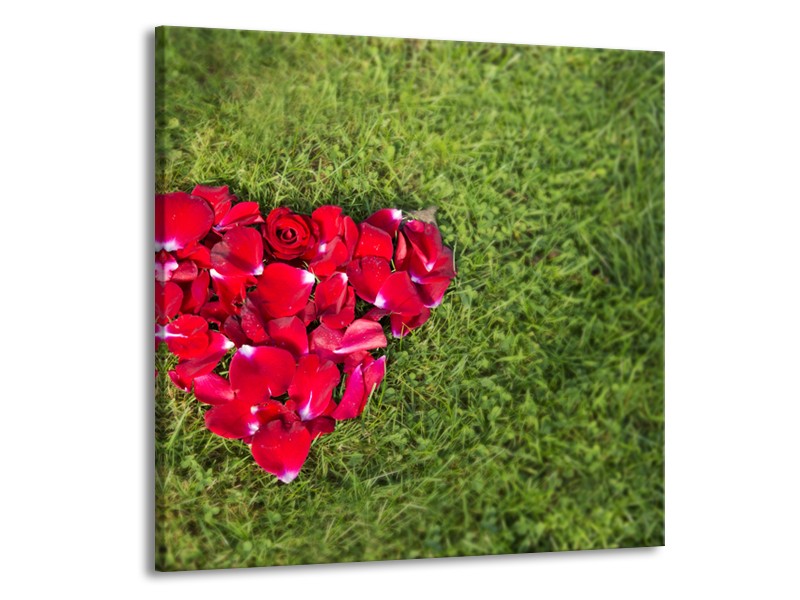 Canvas Schilderij Bloem, Gras | Rood, Groen, Roze | 70x70cm 1Luik