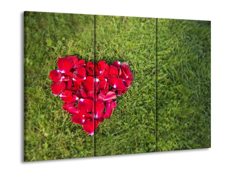 Glasschilderij Bloem, Gras | Rood, Groen, Roze | 60x90cm 3Luik