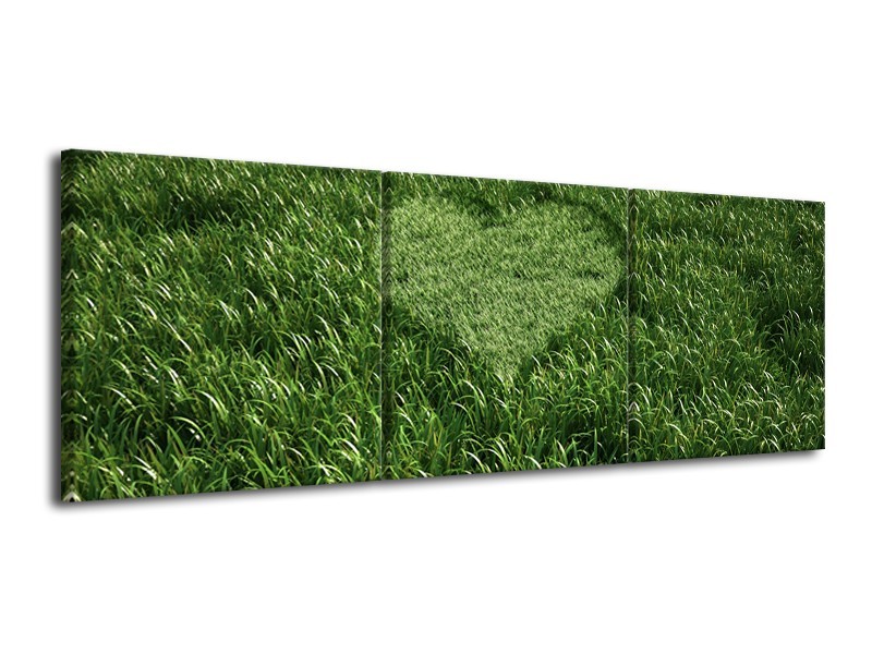 Glasschilderij Gras, Hart | Groen | 120x40cm 3Luik