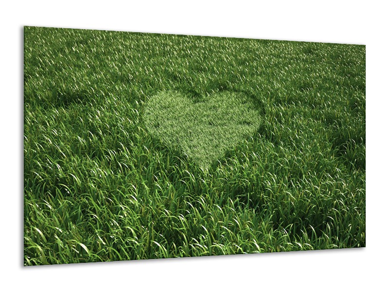 Canvas Schilderij Gras, Hart | Groen | 120x70cm 1Luik
