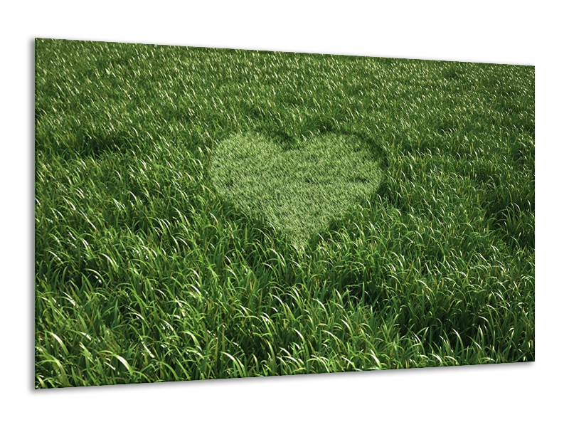 Canvas Schilderij Gras, Hart | Groen | 120x70cm 1Luik
