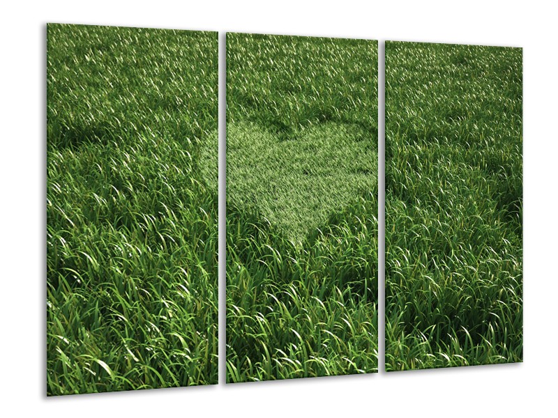 Canvas Schilderij Gras, Hart | Groen | 120x80cm 3Luik