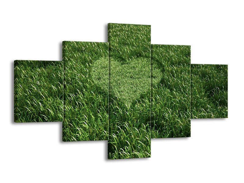 Canvas Schilderij Gras, Hart | Groen | 125x70cm 5Luik