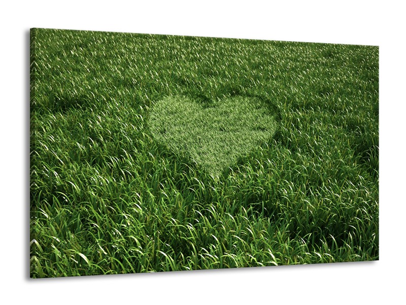 Canvas Schilderij Gras, Hart | Groen | 140x90cm 1Luik