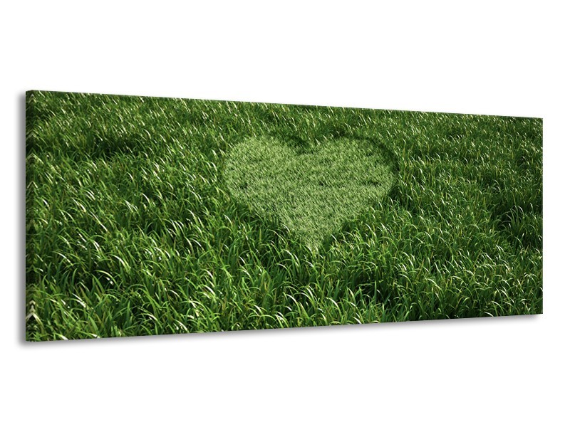 Canvas Schilderij Gras, Hart | Groen | 145x58cm 1Luik