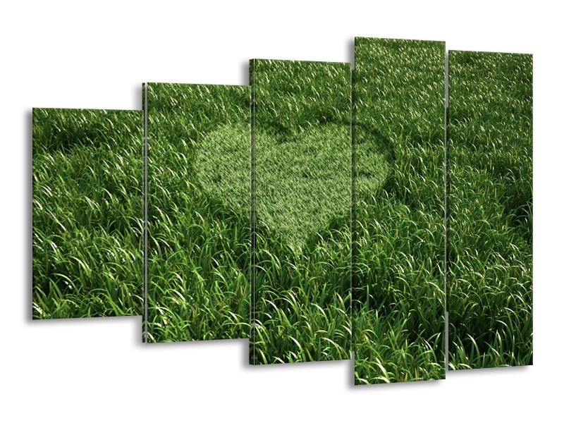 Canvas Schilderij Gras, Hart | Groen | 150x100cm 5Luik