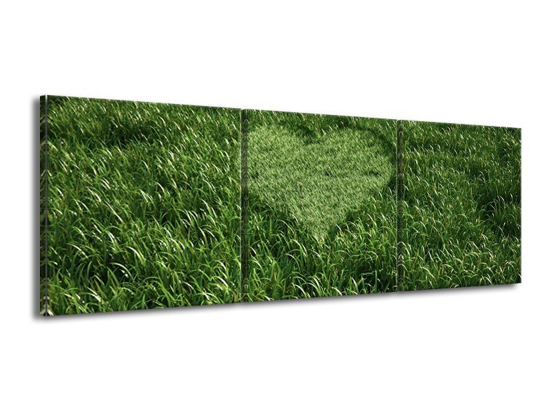 Canvas Schilderij Gras, Hart | Groen | 150x50cm 3Luik