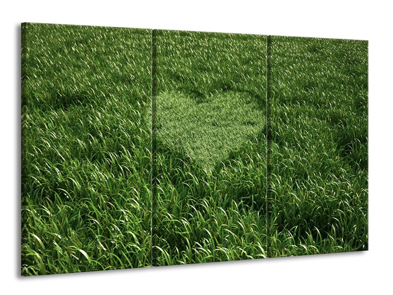 Glasschilderij Gras, Hart | Groen | 165x100cm 3Luik
