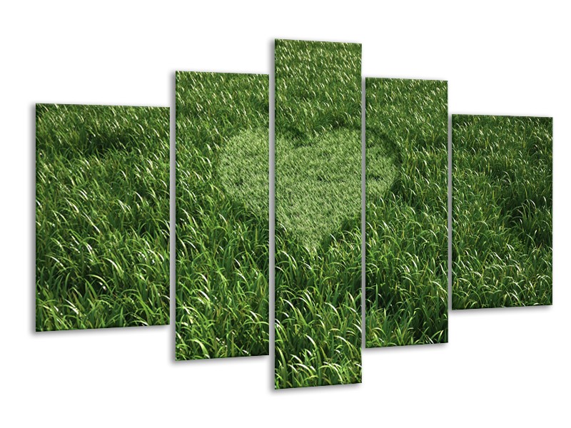 Glasschilderij Gras, Hart | Groen | 170x100cm 5Luik