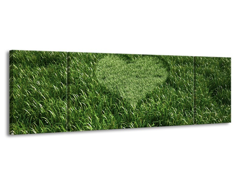 Glasschilderij Gras, Hart | Groen | 170x50cm 3Luik