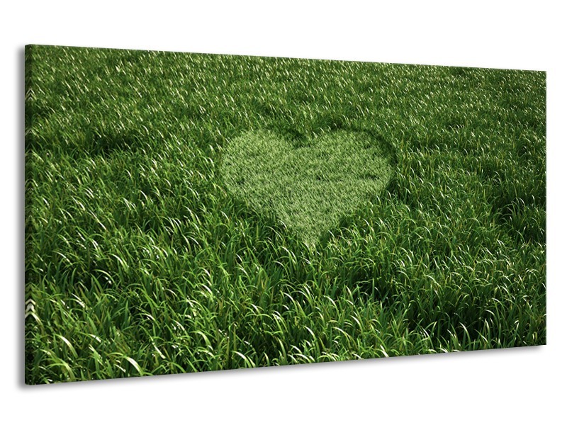 Canvas Schilderij Gras, Hart | Groen | 190x100cm 1Luik