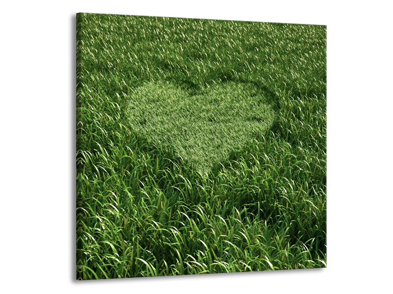 Canvas Schilderij Gras, Hart | Groen | 50x50cm 1Luik