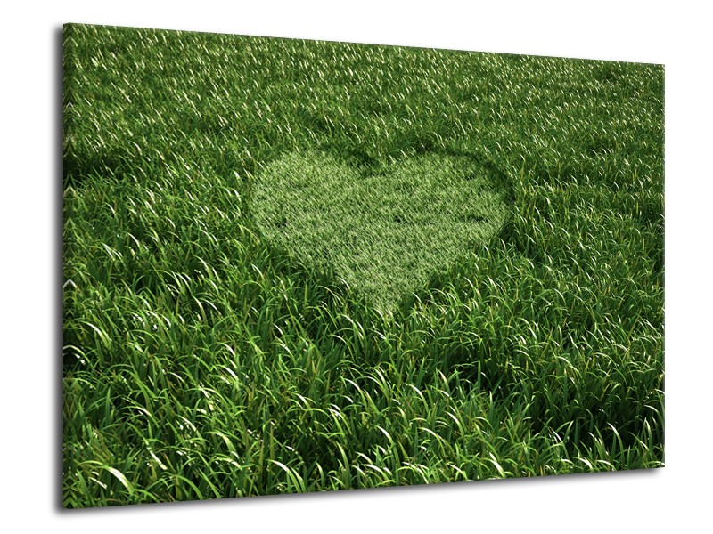 Canvas Schilderij Gras, Hart | Groen | 70x50cm 1Luik