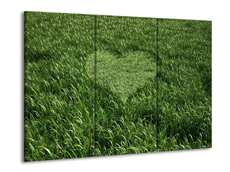 Canvas Schilderij Gras, Hart | Groen | 60x90cm 3Luik