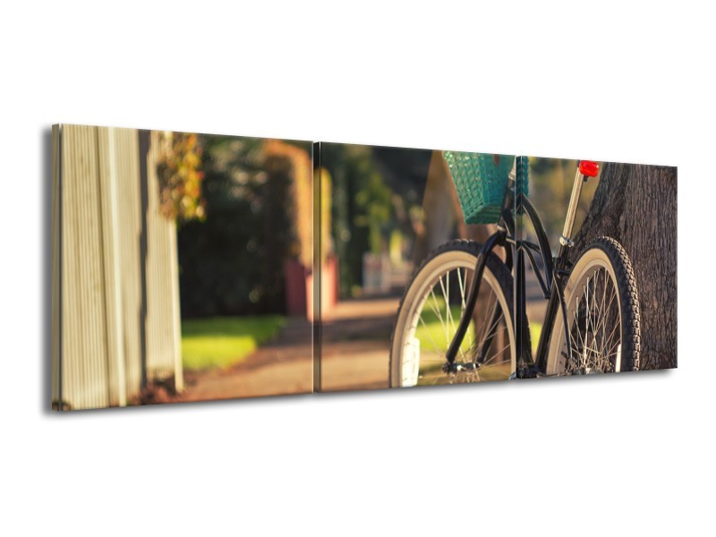 Glasschilderij Fiets, Natuur | Grijs, Geel, Bruin | 150x50cm 3Luik