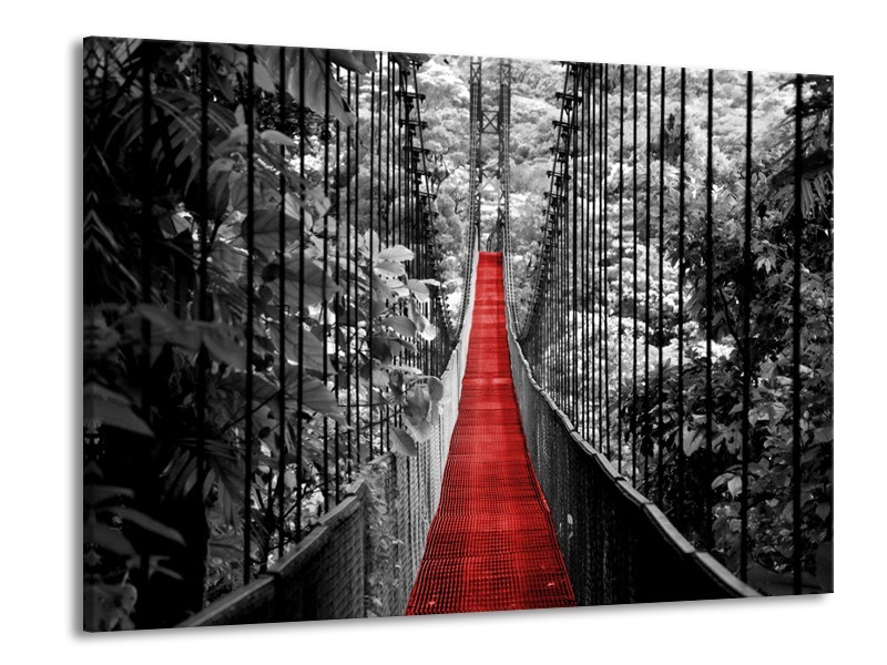 Canvas Schilderij Brug, Natuur | Zwart, Wit, Rood | 100x70cm 1Luik