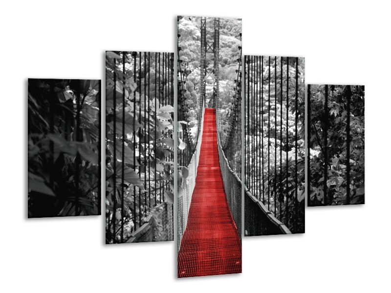 Glasschilderij Brug, Natuur | Zwart, Wit, Rood | 100x70cm 5Luik