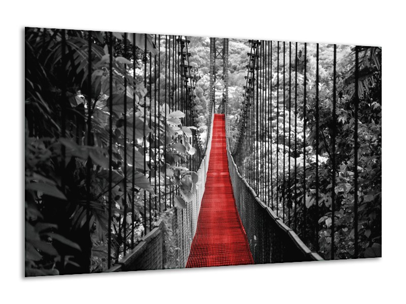 Canvas Schilderij Brug, Natuur | Zwart, Wit, Rood | 120x70cm 1Luik