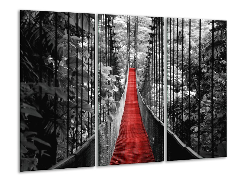 Canvas Schilderij Brug, Natuur | Zwart, Wit, Rood | 120x80cm 3Luik