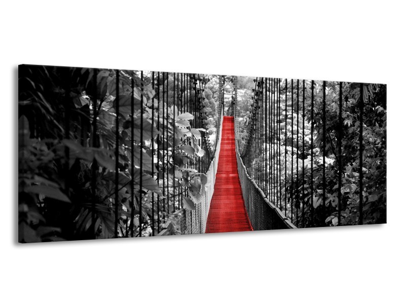 Glasschilderij Brug, Natuur | Zwart, Wit, Rood | 145x58cm 1Luik