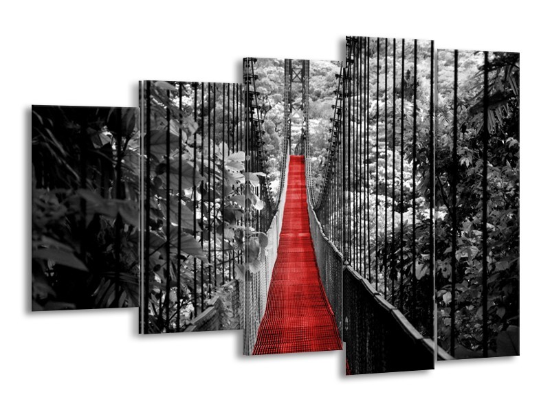 Glasschilderij Brug, Natuur | Zwart, Wit, Rood | 150x100cm 5Luik