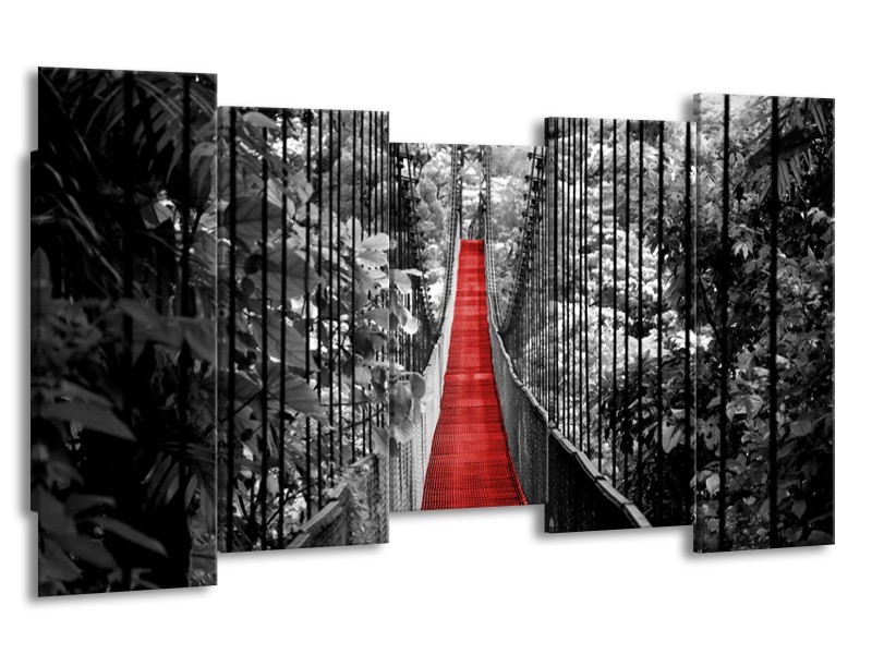 Glasschilderij Brug, Natuur | Zwart, Wit, Rood | 150x80cm 5Luik