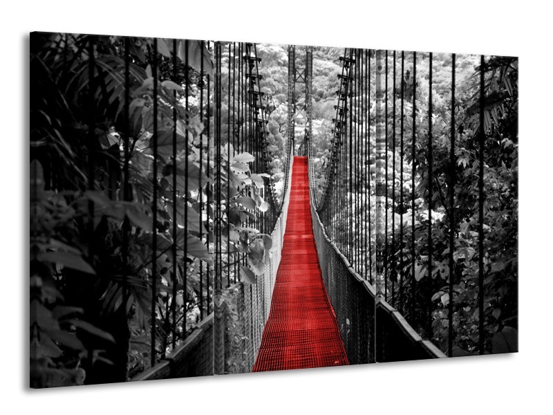 Canvas Schilderij Brug, Natuur | Zwart, Wit, Rood | 165x100cm 3Luik