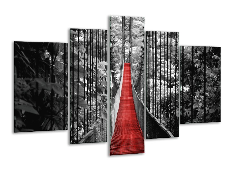 Glasschilderij Brug, Natuur | Zwart, Wit, Rood | 170x100cm 5Luik