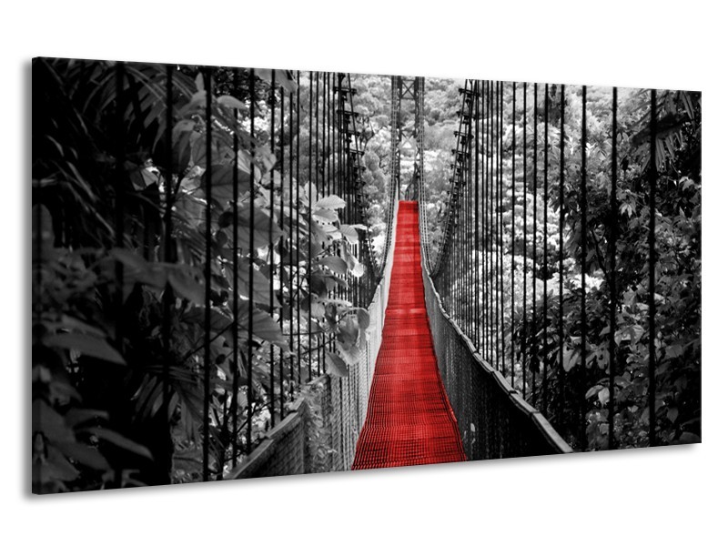 Canvas Schilderij Brug, Natuur | Zwart, Wit, Rood | 190x100cm 1Luik