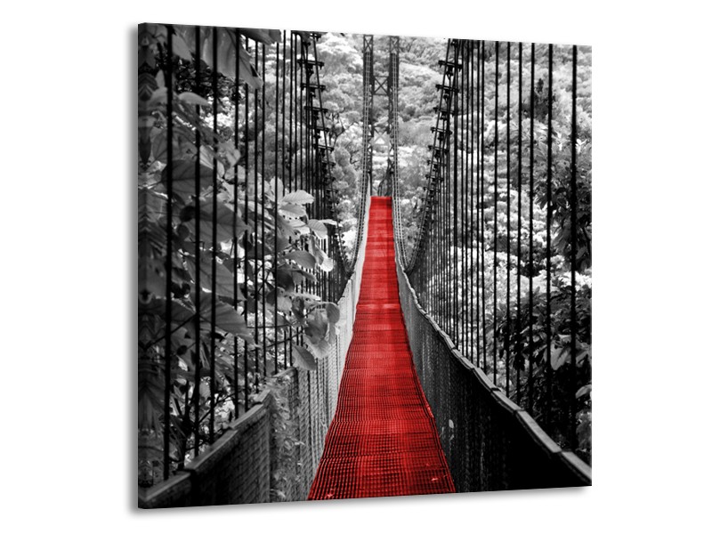 Glasschilderij Brug, Natuur | Zwart, Wit, Rood | 50x50cm 1Luik