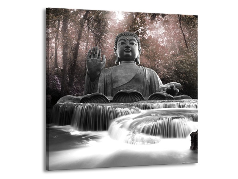 Glasschilderij Boeddha, Natuur | Grijs | 50x50cm 1Luik