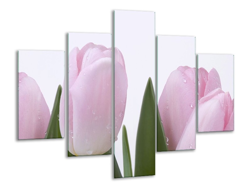 Canvas Schilderij Tulpen, Bloemen | Roze, Wit | 100x70cm 5Luik