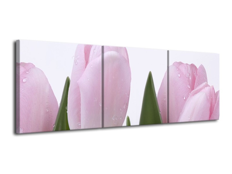 Canvas Schilderij Tulpen, Bloemen | Roze, Wit | 120x40cm 3Luik