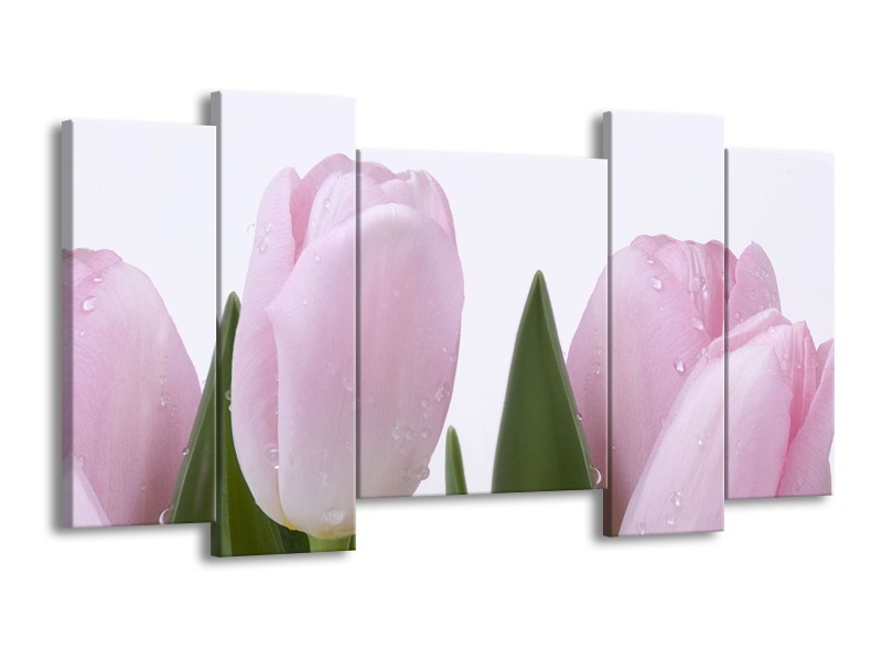 Glasschilderij Tulpen, Bloemen | Roze, Wit | 120x65cm 5Luik