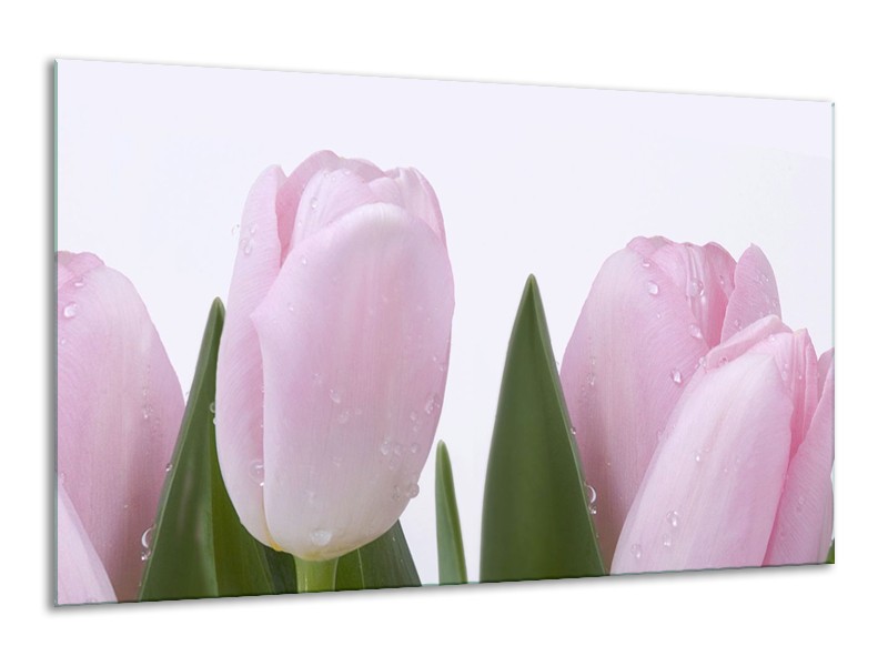 Glasschilderij Tulpen, Bloemen | Roze, Wit | 120x70cm 1Luik