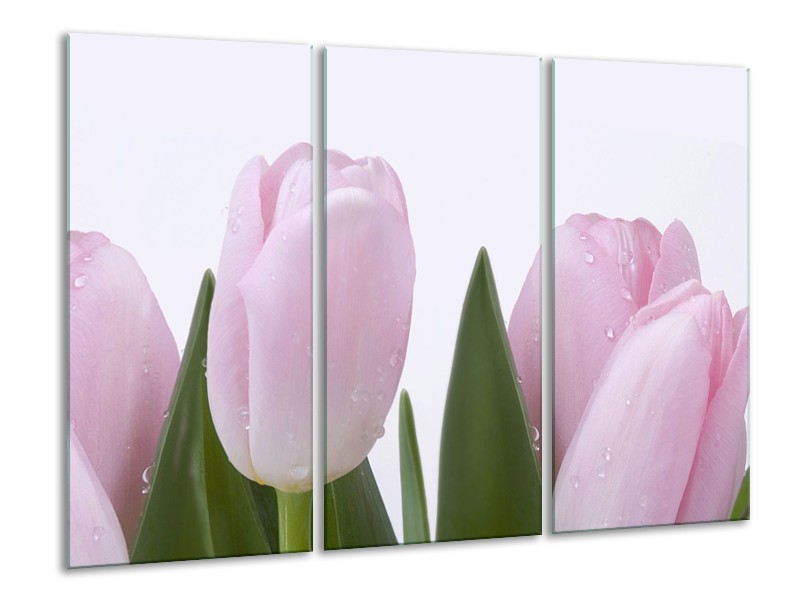 Glasschilderij Tulpen, Bloemen | Roze, Wit | 120x80cm 3Luik