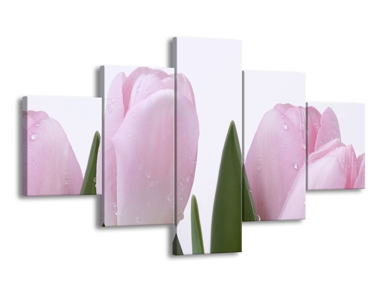 Canvas Schilderij Tulpen, Bloemen | Roze, Wit | 125x70cm 5Luik